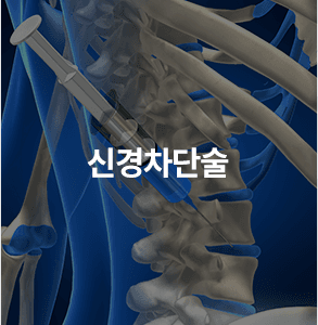 신경차단술