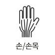 손·손목