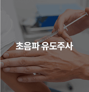 초음파 유도주사